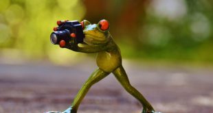 Mobil Listrik Pertama Hyundai di China Diberi Nama EO