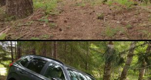 Review Toyota New Alphard HEV Nyaman dan Irit Banget! Tapi Masih Worth It Gak?