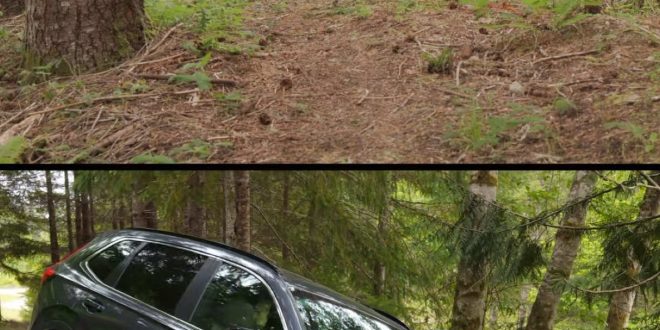 Review Toyota New Alphard HEV Nyaman dan Irit Banget! Tapi Masih Worth It Gak?